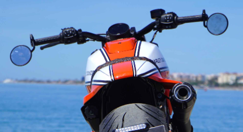 HarleyDavidson SPORTSTER S do banh beo 240 dau tien the gioi cua Lord Drake Kustoms - 6