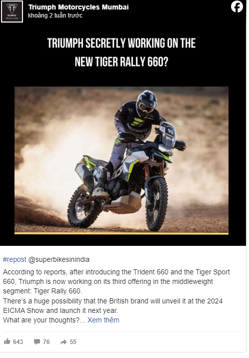 Triumph dang phat trien Tiger 660 Rally du kien ra mat tai EICMA 2024 - 3