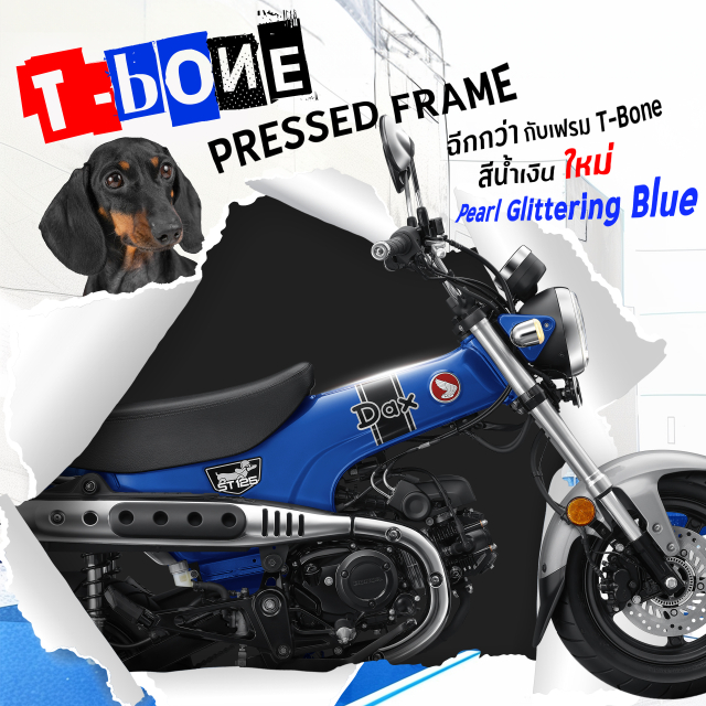 Honda Dax 2024 lo dien ve ngoai moi gia chua den 60 trieu Dong - 9
