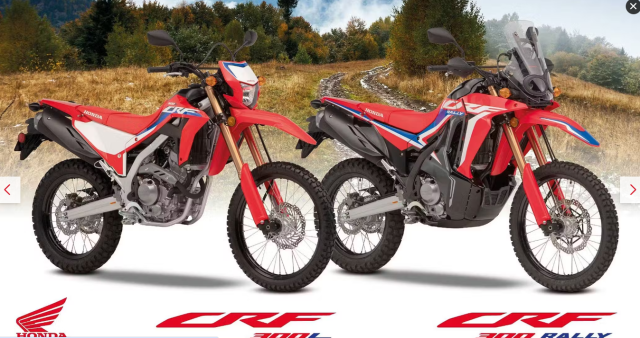 Day la 5 cai ten Enduro 300cc sang gia cho dan me dia hinh va me hop phap - 3