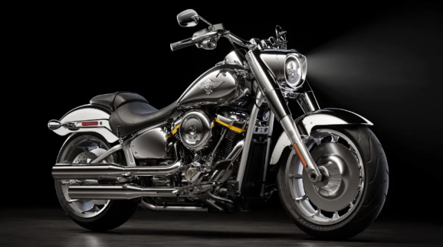 HarleyDavidson Fat Boy Gray Ghost Co may anh bac khuay dong moi anh nhin - 3