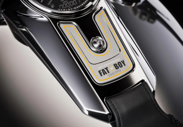 HarleyDavidson Fat Boy Gray Ghost Co may anh bac khuay dong moi anh nhin - 11