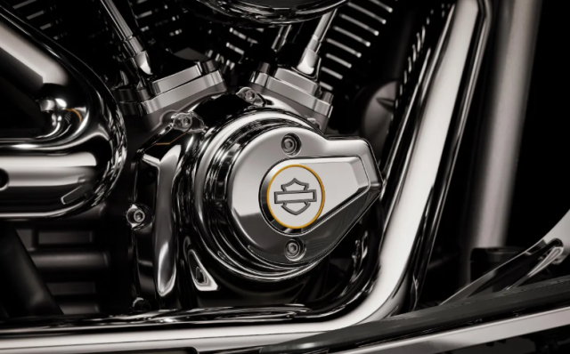 HarleyDavidson Fat Boy Gray Ghost Co may anh bac khuay dong moi anh nhin - 13