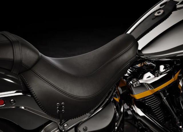 HarleyDavidson Fat Boy Gray Ghost Co may anh bac khuay dong moi anh nhin - 20