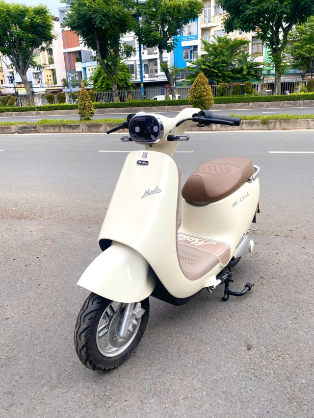 Xe may dien tiep suc thi truong Viet Nam giu da tang truong on dinh - 2