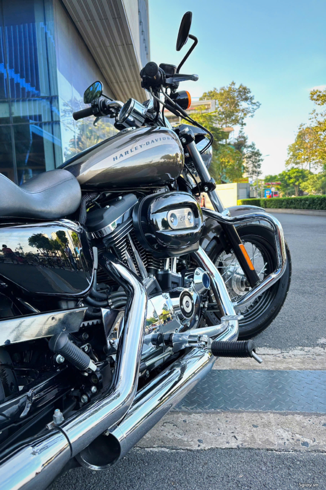 ___ Can Ban ___HARLEY 1200 Custom 2020___ - 15