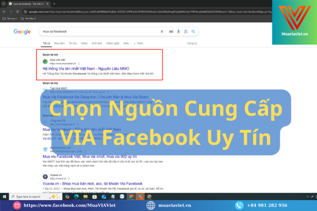 VIA chay quang cao Facebook on dinh can tien deu moi ngay - 3