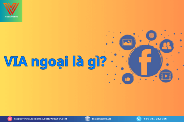 VIA Viet va VIA ngoai loai nao chay quang cao on dinh hon - 2