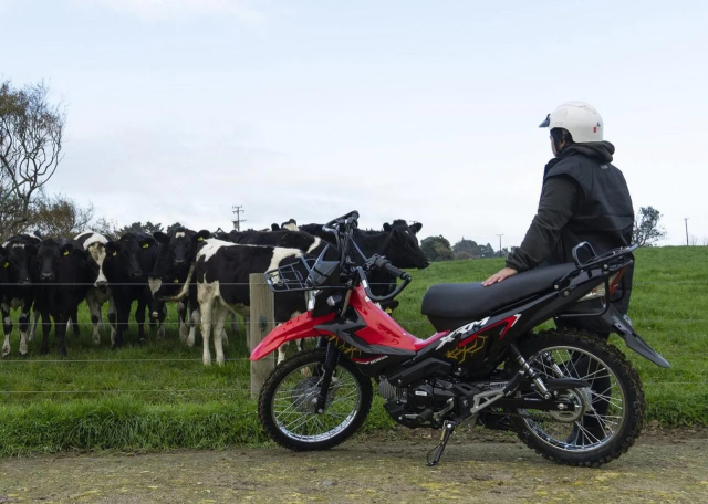 Khám phá honda xrm125 đối trọng xứng tầm hơn của yamaha pg1 trong phân khúc xe số đa địa hình - 4